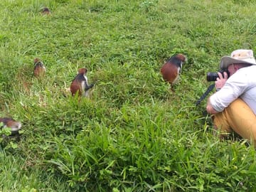 Private Jozani Forest Tour with Red Colobus Monkeys in Zanzibar