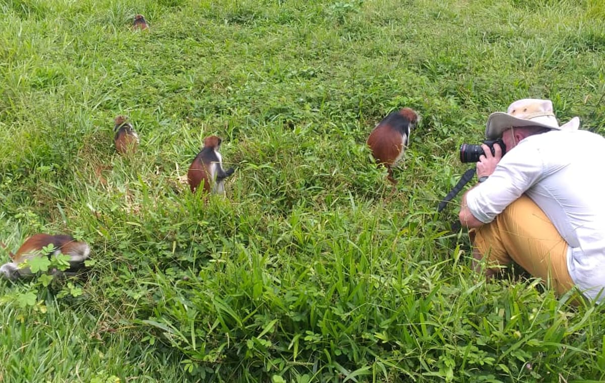 Private Jozani Forest Tour with Red Colobus Monkeys in Zanzibar