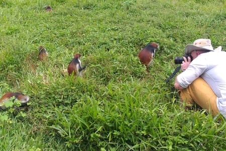 Zanzibar: Jozani Forest & Red Colobus Monkeys Private Tour