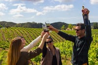 Private Wine & Lagos Exploration: Vineyards & Scenic Views 1