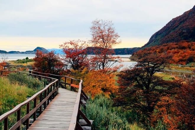 Ushuaia, Tierra del Fuego National Park - Half day photo 6