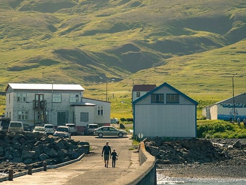 Half-day Private Puffin and Elves Tour in Borgarfjordur Eystri, photo 4