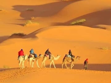 Camel Ride
