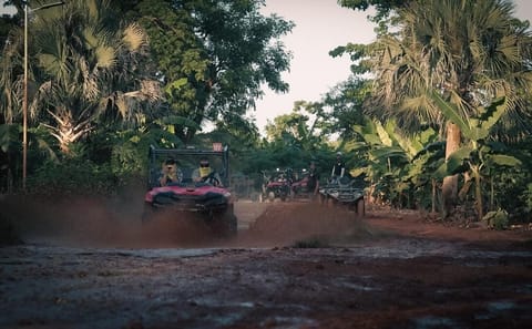Buggy Night Tours From Punta Cana