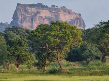 Sigiriya & Dambulla Cave Temple Day Trip from Colombo