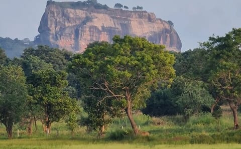 Sigiriya and Dambulla Cave Temple Day Tour from Colombo