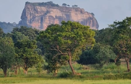 Sigiriya and Dambulla Cave Temple Day Tour from Colombo