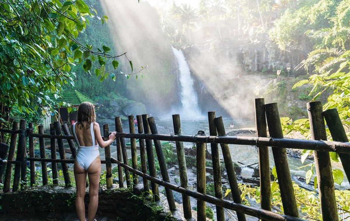 Private Tour: Ubud Highlights