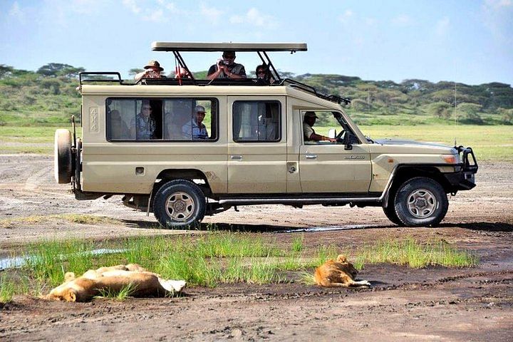 Private Masai Mara 4X4 Jeep Safari: Experience the Great Migration