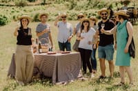 Montserrat & Penedes Winery Private Day Trip with Cava Tasting 2