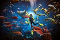 Atlantis day pass