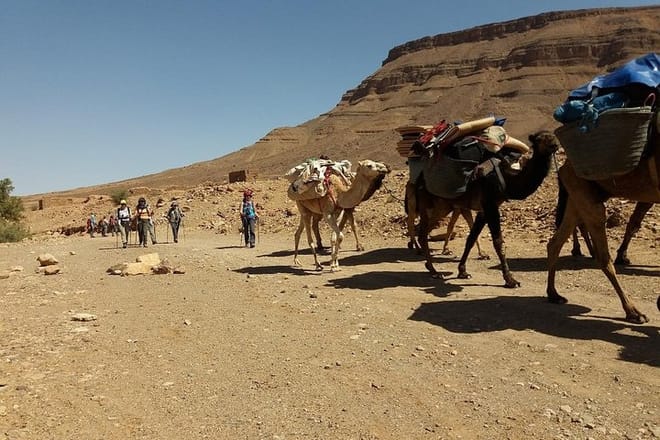 Camel Trek Morocco 8 Days photo 4