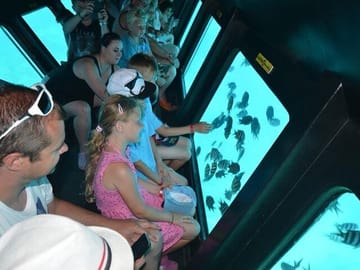 El Gouna Semi-Submarine Tour of Red Sea Marine Life