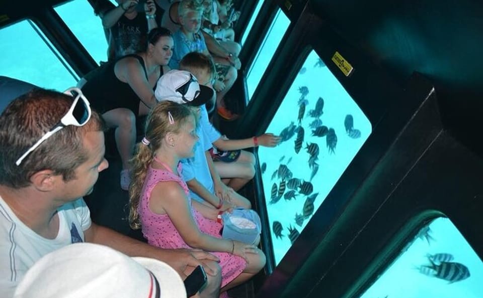 El Gouna Semi-Submarine Tour of Red Sea Marine Life