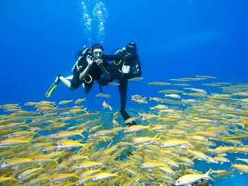 Scuba Diving Trip in Hurghada