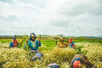3 Days : Djebli Village Eco Tour with Home stay | Private & Luxury 5