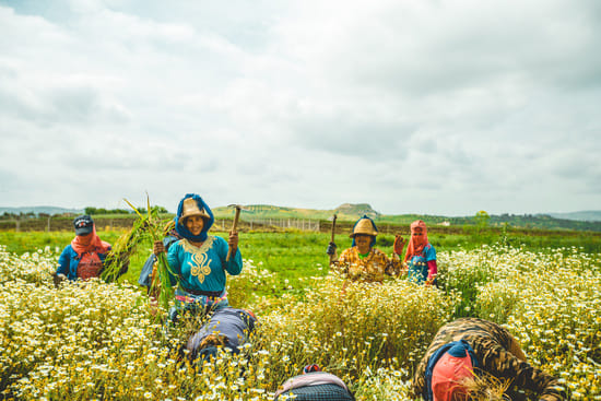 3 Days : Djebli Village Eco Tour with Home stay | Private & Luxury 5
