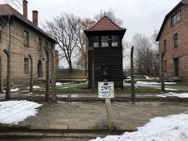 Auschwitz Birkenau Private Pickup 