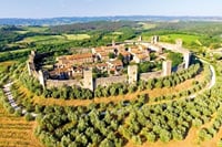 All In One; San Gimignano, Pisa and Siena Tour from Florence 2
