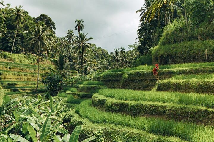 Bali Private Car Full Day Customized Tour With Drone Service