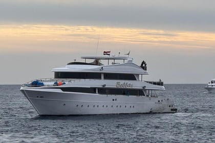 Scuba Diving Sea Trip with Lunch and Transfer from Hurghada