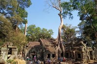 Taprohm