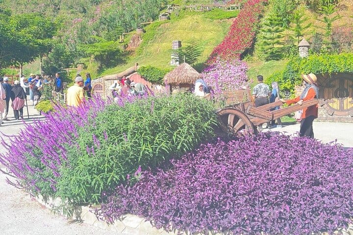 Stunning view of vibrant purple flowers and greenery, with visitors enjoying the scenic beauty