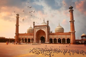 Hindu Temple Tour in New Delhi: Explore Spiritual Sites