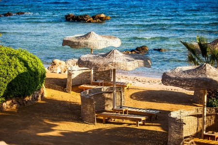 Small-Group Adventure to Sidon, Tyre & Maghdouche: Discover Historical Gems