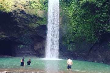 Private Full-Day Cultural Tour of Ubud and Tampaksiring