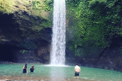 Full-Day Private and Guided Tour Around Ubud