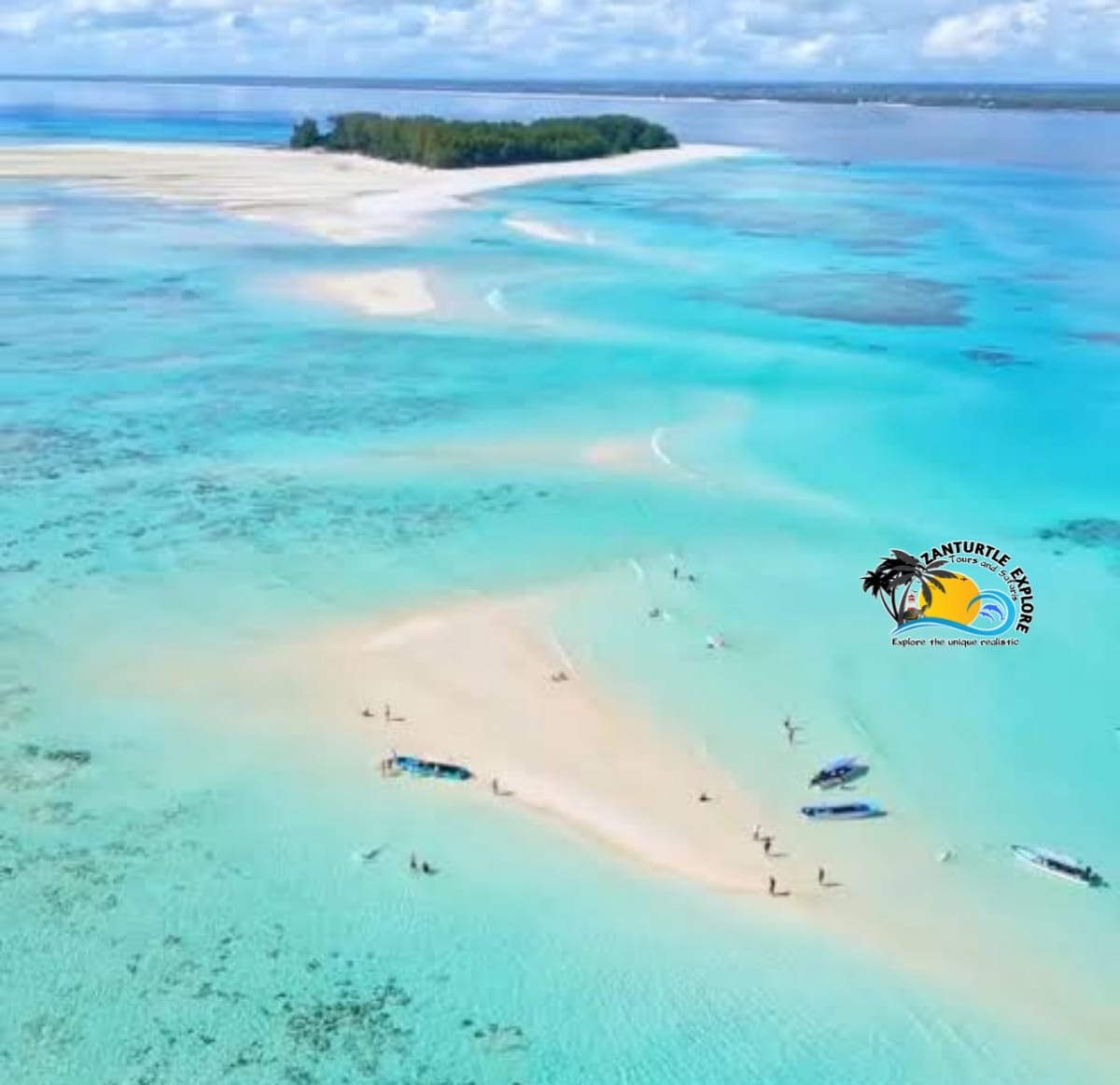 Zanzibar Maasai Culture, Jozani Forest and Salaam Cave Turtle