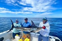 Private Cabo All-Inclusive 5-Hour Sportfishing Charter 2