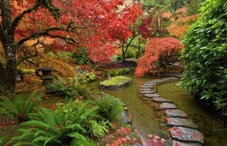 Vancouver->Victoria Tour | Visit Craigdarroch Castle and Butchart Garden Private