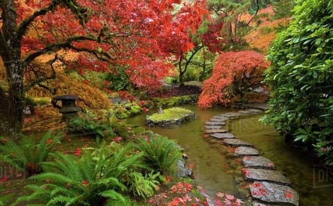 Vancouver to Victoria Private Tour: Craigdarroch Castle & Butchart Gardens
