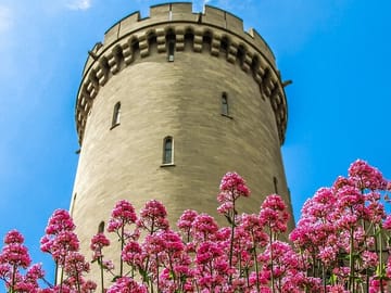 Private Day Trip to Arundel Castle from London