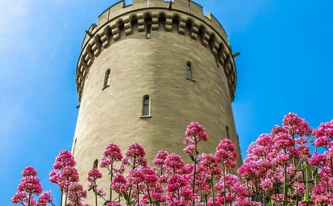 Private Day Trip to Arundel Castle from London