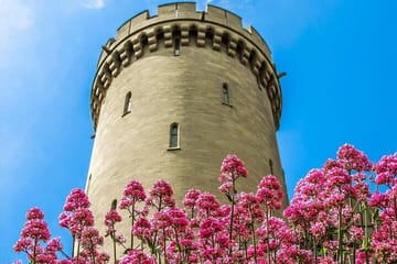 Private Day Trip to Arundel Castle from London