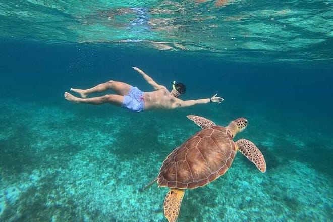 Cancun Catamaran: Sail to Isla Mujeres + Buffet & Drinks photo 4