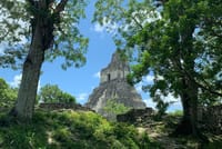 Tikal Shared Experience: Flight + One Day Tour from Antigua 1