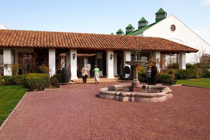 Casas del Bosque Vineyard with Lunch Menu included from Santiago