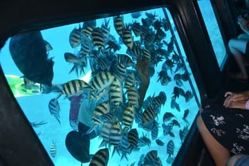 El Gouna Semi Submarine Sea Trip 2 Hours From Abu Tig Marina