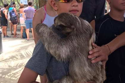 Roatan Eco-Adventure Safari: ATV Buggy Jungle Tour with Monkeys, Sloths Sanctuary & Private Beach Bliss