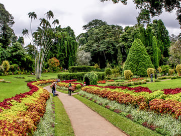 Budget-Friendly City Tour of Colombo, Sri Lanka