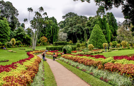 SAFARI SRI LANKA  [Budget Travel Package]