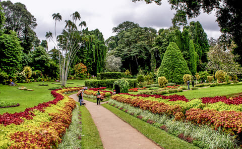 Budget-Friendly City Tour of Colombo, Sri Lanka