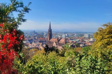 Historic Walking Tour of Freiburg's Old Town in Germany
