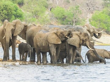 5 Days Tsavo West Amboseli and Tsavo East from Mombasa