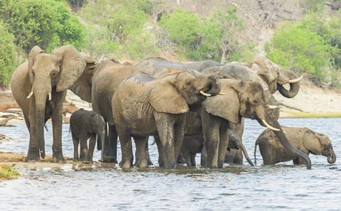 5-Day Adventure Tour of Tsavo West, Amboseli, and Tsavo East