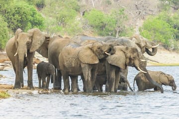5-Day Adventure Tour of Tsavo West, Amboseli, and Tsavo East